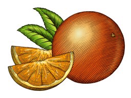 Oranges art
